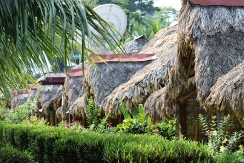 Blue Bird Resort_3